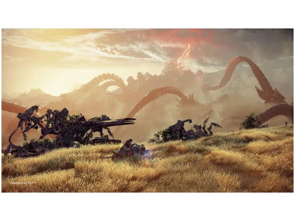Horizon Forbidden - PS5