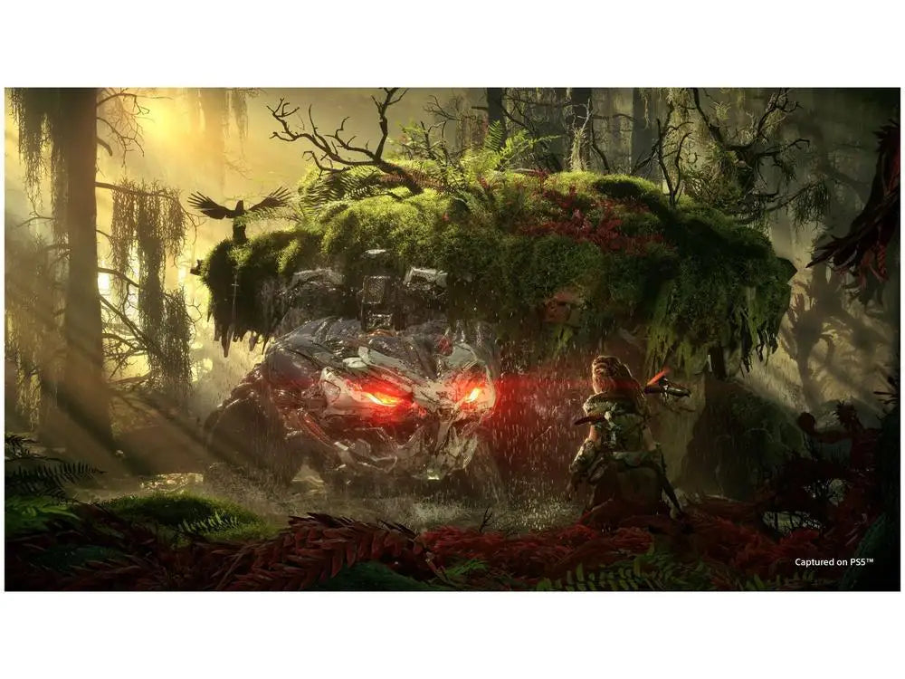 Horizon Forbidden - PS5